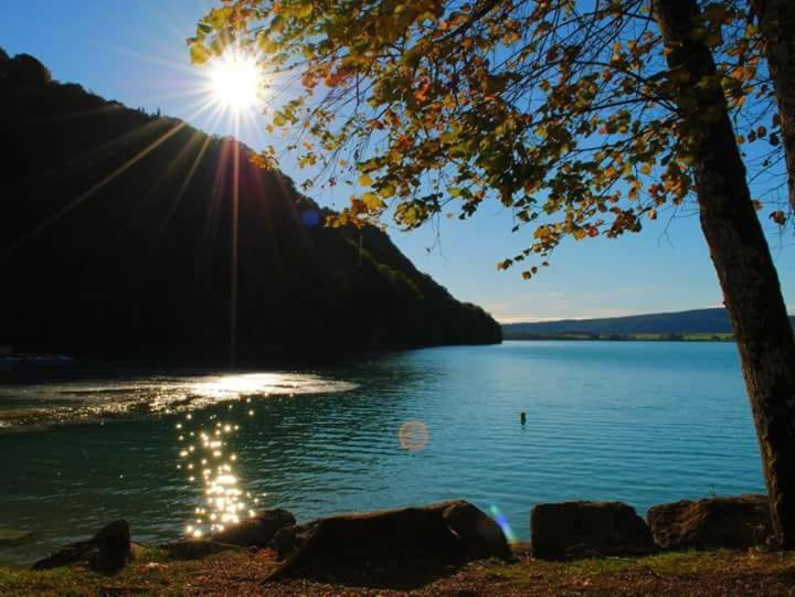 Maison/Gite Familial Dans Le Jura A 200M Du Lac Avec Piscine Privee Marigny  Dış mekan fotoğraf