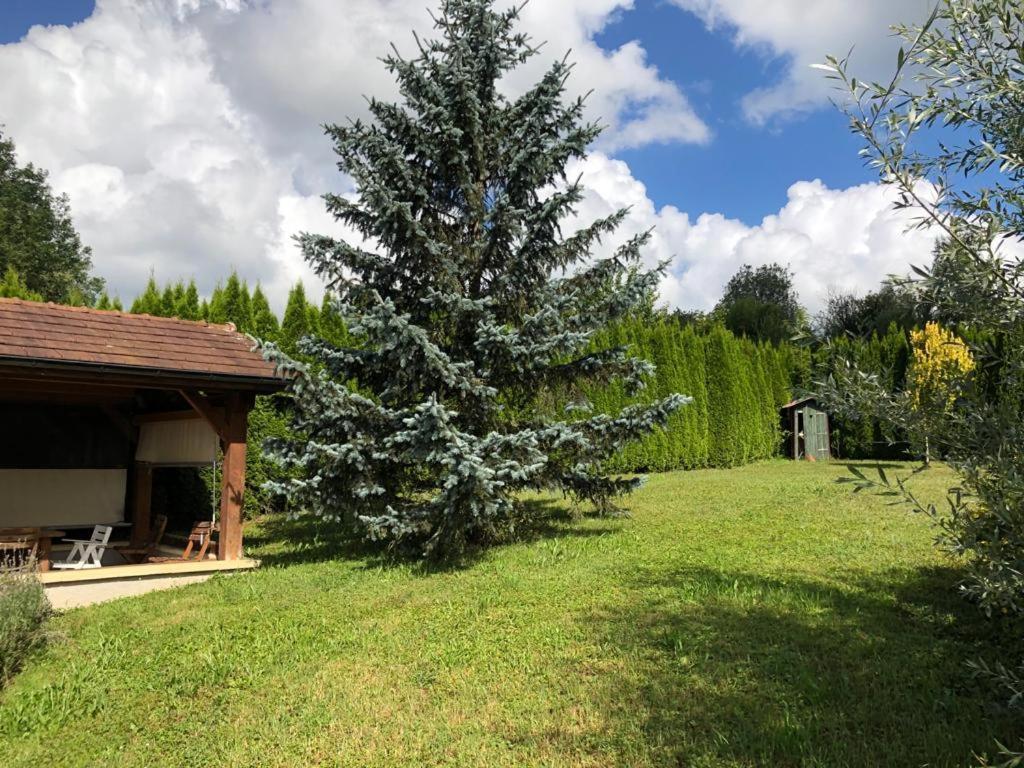 Maison/Gite Familial Dans Le Jura A 200M Du Lac Avec Piscine Privee Marigny  Dış mekan fotoğraf