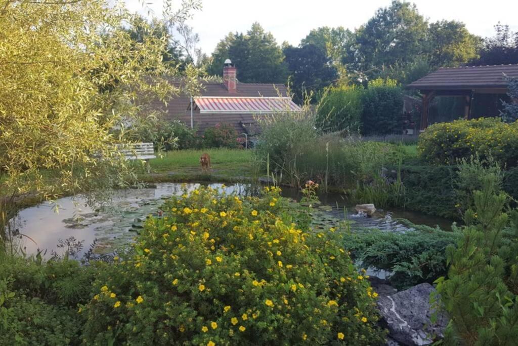 Maison/Gite Familial Dans Le Jura A 200M Du Lac Avec Piscine Privee Marigny  Dış mekan fotoğraf