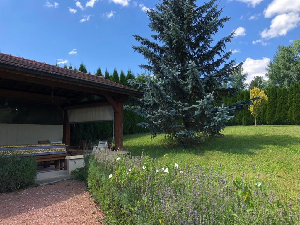Maison/Gite Familial Dans Le Jura A 200M Du Lac Avec Piscine Privee Marigny  Dış mekan fotoğraf