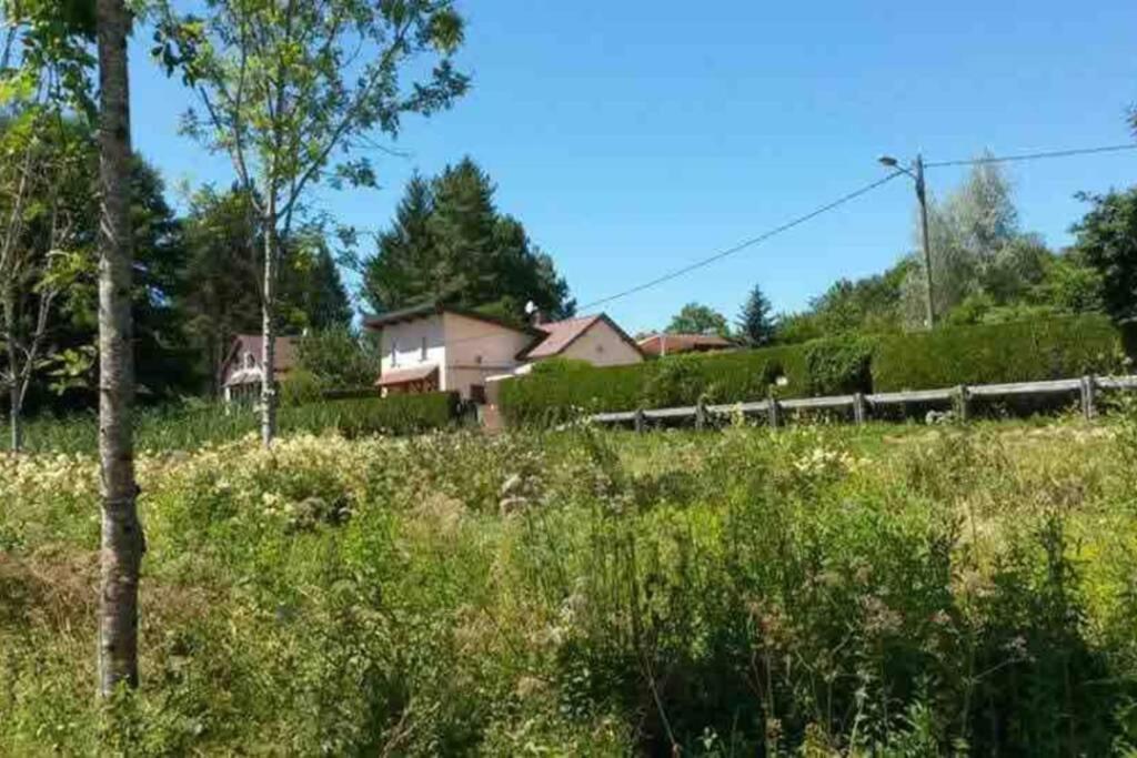 Maison/Gite Familial Dans Le Jura A 200M Du Lac Avec Piscine Privee Marigny  Dış mekan fotoğraf