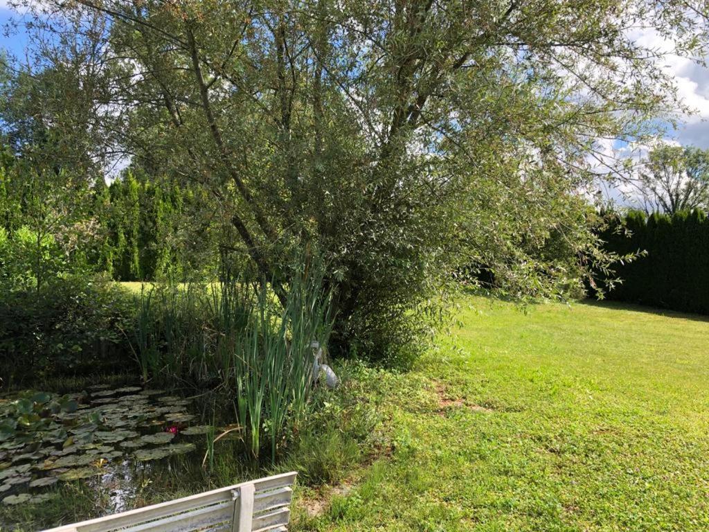 Maison/Gite Familial Dans Le Jura A 200M Du Lac Avec Piscine Privee Marigny  Dış mekan fotoğraf