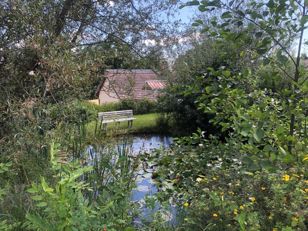 Maison/Gite Familial Dans Le Jura A 200M Du Lac Avec Piscine Privee Marigny  Dış mekan fotoğraf